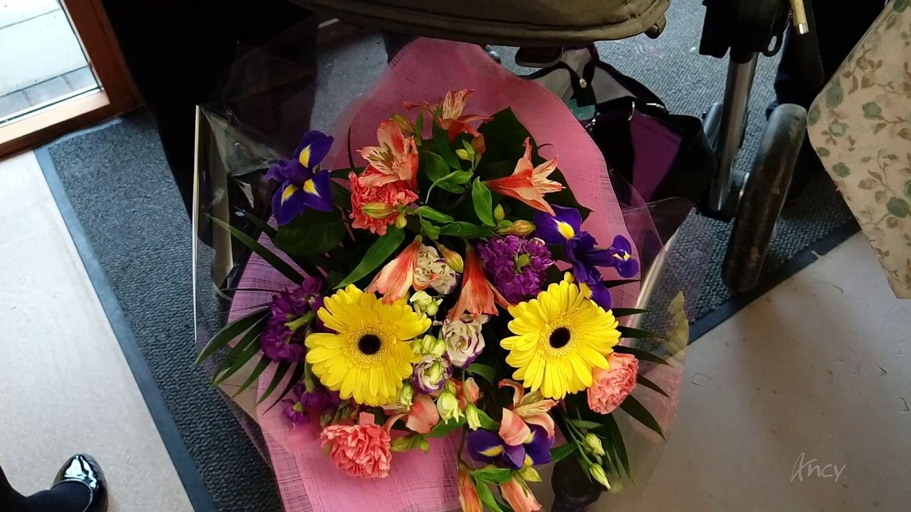 Farewell Party to Therese Grace at Leopardstown Park Hospital, Dublin, Ireland by Ancy