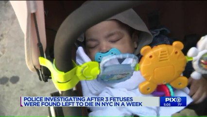 Two Fetuses Found in New York City as Investigators Continue Search for Third