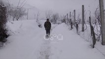 Ora News - Përmbyten 100 ha tokë në Shkodër, disa rrugë të bllokuara nga dëbora