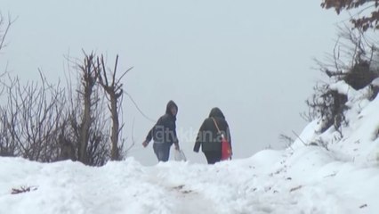 Izolohet veriu, debora arrin ne 1 meter