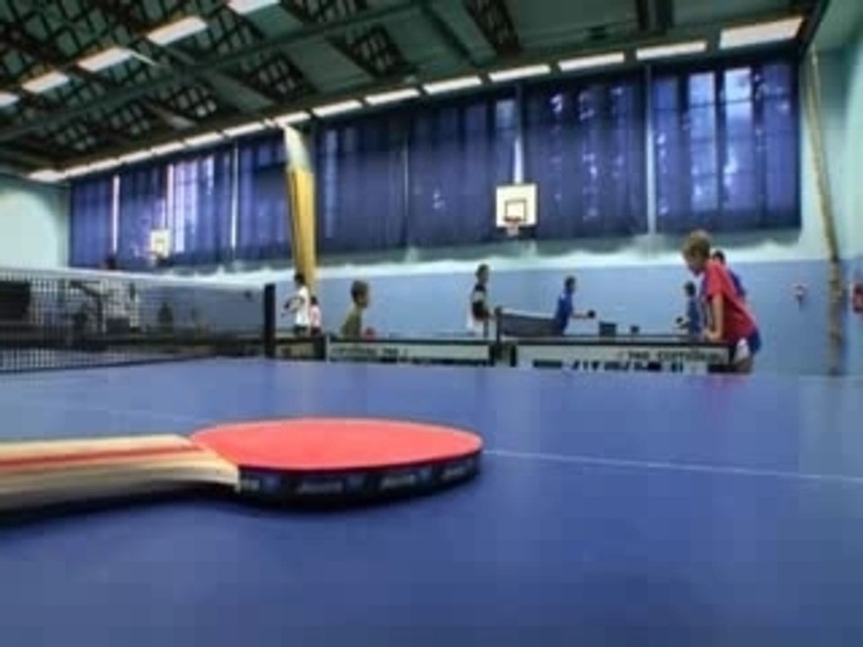 J'ai essayé...le ping pong