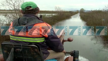 Download Video: SHKODER, RIKTHEHEN PERMBYTJET, MBI 300 HEKTARE TOKE NEN UJE  - News, Lajme - Kanali 16