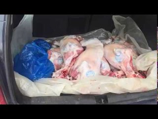 Ora News - Bllokohet 60 kg mish i pakontrolluar, shikoni si transportohej