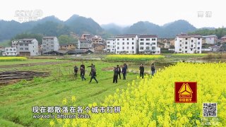 《走遍中国》 20170427 3集系列片《丽水治水记》 第二集 包河到户 | CCTV-4