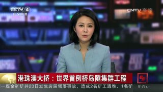 [中国新闻]港珠澳大桥：世界首例桥岛隧集群工程 | CCTV-4