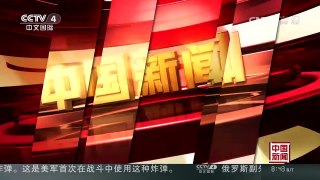 [中国新闻]陕西：野生大熊猫公路“遛弯” | CCTV-4