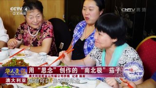 《华人世界》 20170411 | CCTV-4