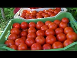 Projektet për bujqësinë, fermerët: Pa certifikatën e pronësisë nuk formalizohemi dot