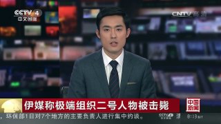 [中国新闻]伊媒称极端组织二号人物被击毙 | CCTV-4