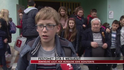 Festohet dita e mësuesit - News, Lajme - Vizion Plus