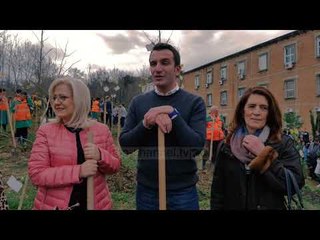 Një pemë për mësuesin, krijohet “Shtegu i dijes”  - Top Channel Albania - News - Lajme