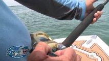 How To Catch Big Fish   Deep Sea Fishing # Saltwater Fishing Videos