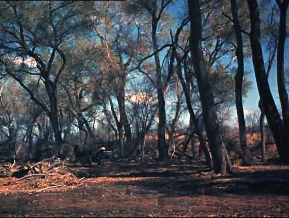 S03E19 - Lauras letzter Fruehling