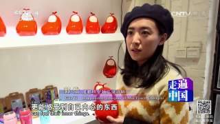 《走遍中国》 20170310 5集系列片《从成都出发》（5）破茧化蝶 | CCTV-4
