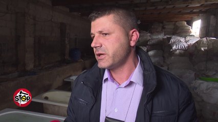 Stop - Kavanozët e plehrave, reagimi i vakët i AKU, Hetimit Tatimor e Higjenës. 7 mars 2018