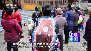 《走遍中国》 20170223 10集系列片《小康路上》（4）智慧乡村 | CCTV-4