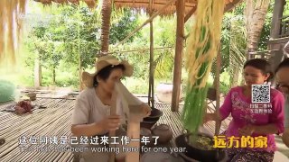 《远方的家》 20170119 一带一路（100）柬埔寨 湄公河畔金边城 | CCTV-4
