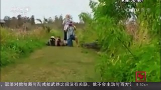 [中国新闻]美国：巨型鳄鱼“过马路”游人纷纷来拍照 | CCTV-4