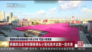[中国新闻]韩国防部推测朝鲜拥50多公斤钚 可造10枚核弹 | CCTV-4