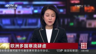 [中国新闻]欧洲多国寒流肆虐 严寒天气已导致数十人死亡 | CCTV-4