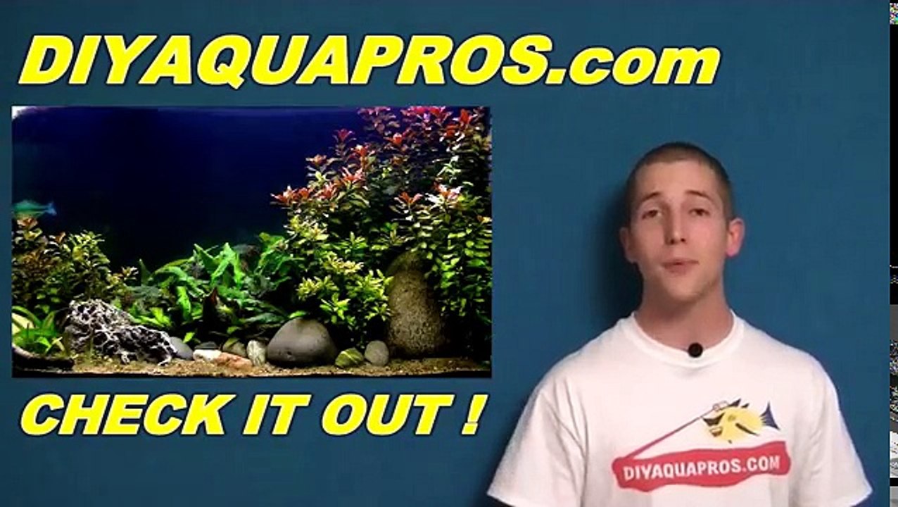 How To Make: DIY Hang On Back Filter (HOB) Aquarium Filter