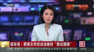 [中国新闻]邵宗海：蔡英文年终谈话维持“蔡式模糊” | CCTV-4
