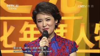 [2016中华之光]南庚戌 | CCTV-4