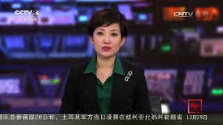 [中国新闻]新闻链接：什么是飞机襟翼 | CCTV-4