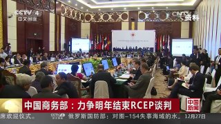 [中国新闻]中国商务部：力争明年结束RCEP谈判 | CCTV-4