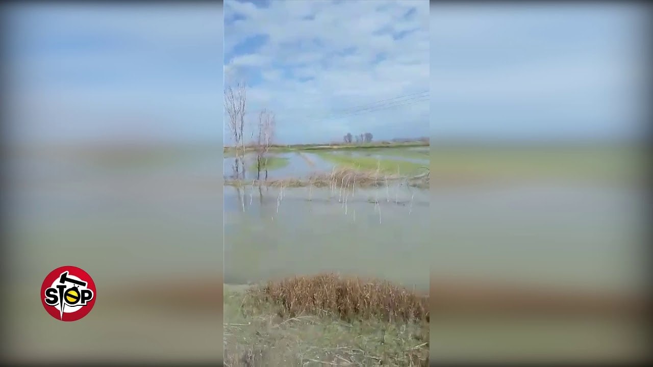 Stop - Pamje nga përmbytjet në Roskovec...nuk keni parë gjë akoma...!!!