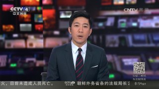 [中国新闻]加拿大：熊猫“大战”雪人 滑稽可爱走红网络 | CCTV-4