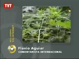 Legalização da maconha é aprovada por deputados do Uruguai
