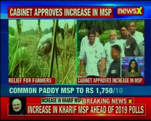 MSP for paddy to rise to Rs 1,750 per quintal; previous rate Rs 1,550100kg