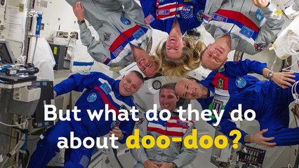 Know How Astronauts Poop in Space