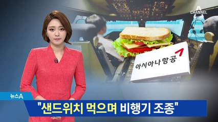 기내식 대란에…“조종사도 샌드위치 먹고 조종”