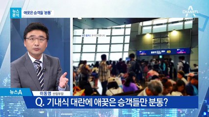 [뉴스분석]항공사, ‘네탓’은 세게 ‘내탓’은 약하게