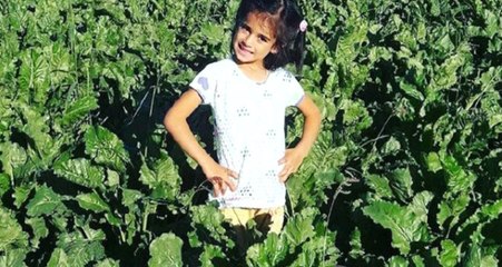 Adalet Bakanı Gül: Cinsel İstismar İçin Tasarı Vardı, Seçim Nedeniyle Yürürlüğe Giremedi