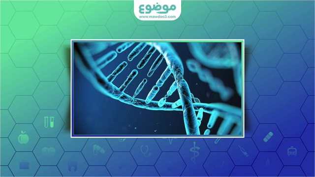 ما هي أسباب تكيس المبايض