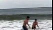 Ces touristes sauvent un bébé dauphin échoué à la plage !