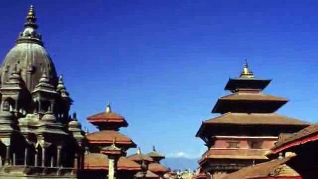 LUẬT NHÂN QUẢ CHẲNG BAO GIỜ TRẬT TRỒNG CÂY GÌ THÌ MỌC CÂY NẤY