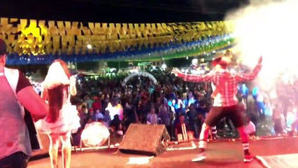 Bonde do Forró: Popular Brazilian Band