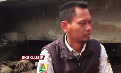 Penelusuran AIMAN Cari Buaya di Kali Grogol - AIMAN
