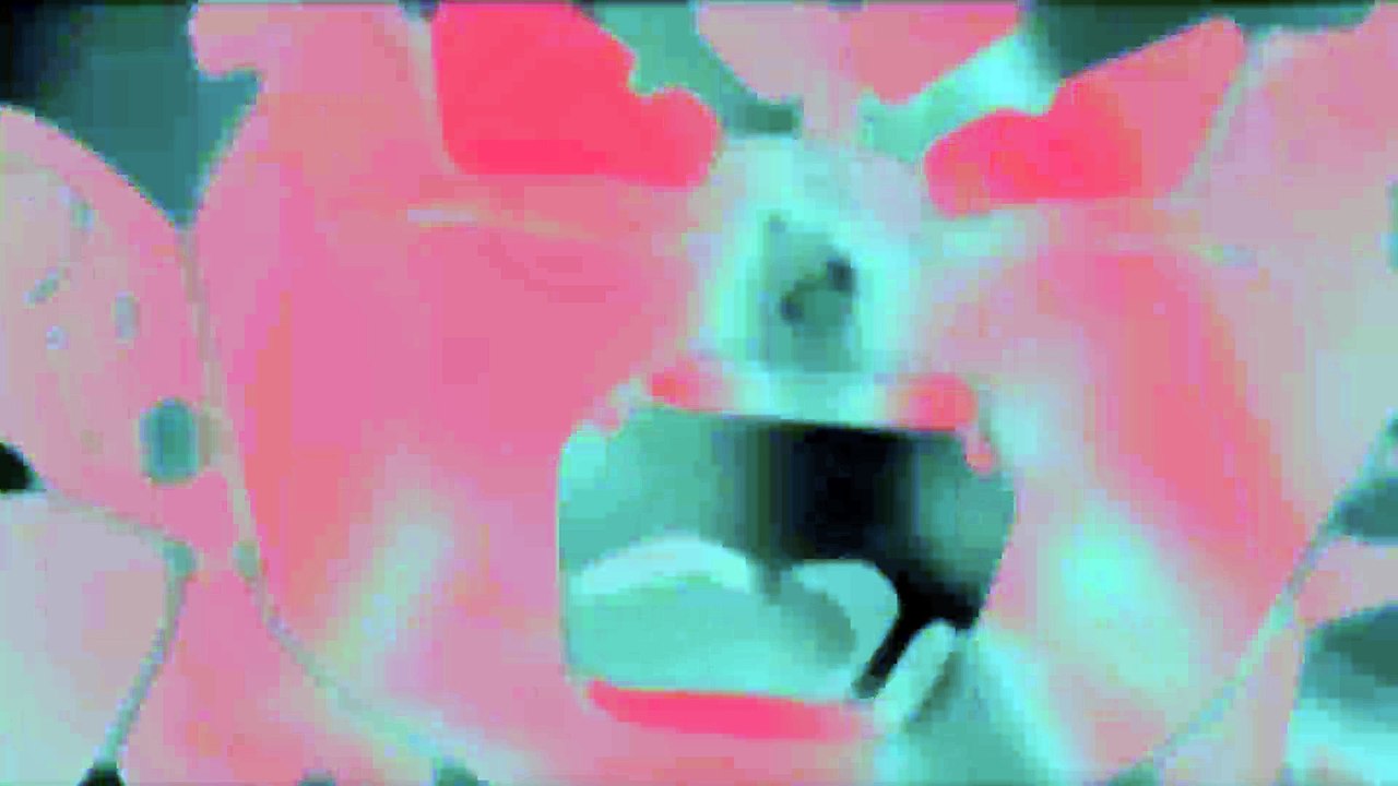 Ami Remix