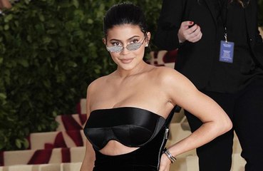 Kylie Jenner construit une maison pour ses chiens
