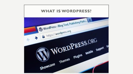 What is a better option for your business WordPress or Static HTML