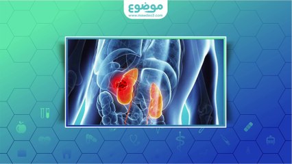 ارتفاع نسبة البوتاسيوم في الدم