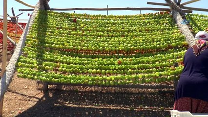 Biber üreticilerinin yüzü sıcak ile güldü... Kurutmalık biberler havadan görüntülendi