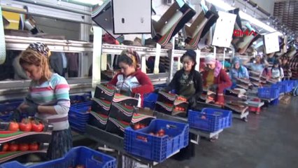 Muğla Dünya Kupası'nın Domatesi Fethiye'den