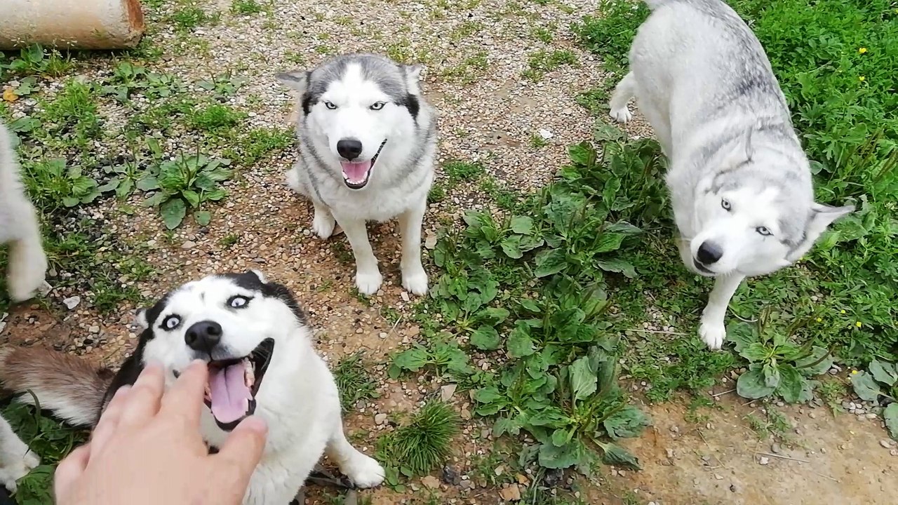 The best meeting from work