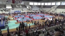 Dünya ve Avrupa Kick Boks Şampiyonaları Türkiye'de Yapılacak - Elazığ